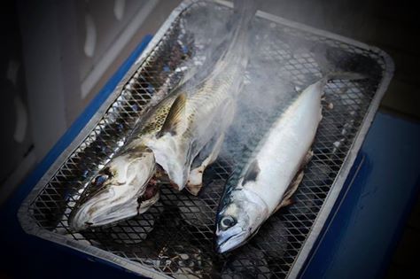 10416633_605377562899446_5084989488056390341_n