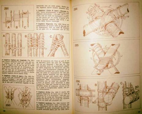 12075054_739696352800899_2898412719612814988_n