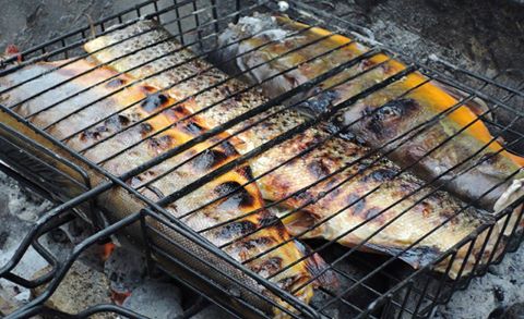 12079312_739671852803349_1728409876574619718_n