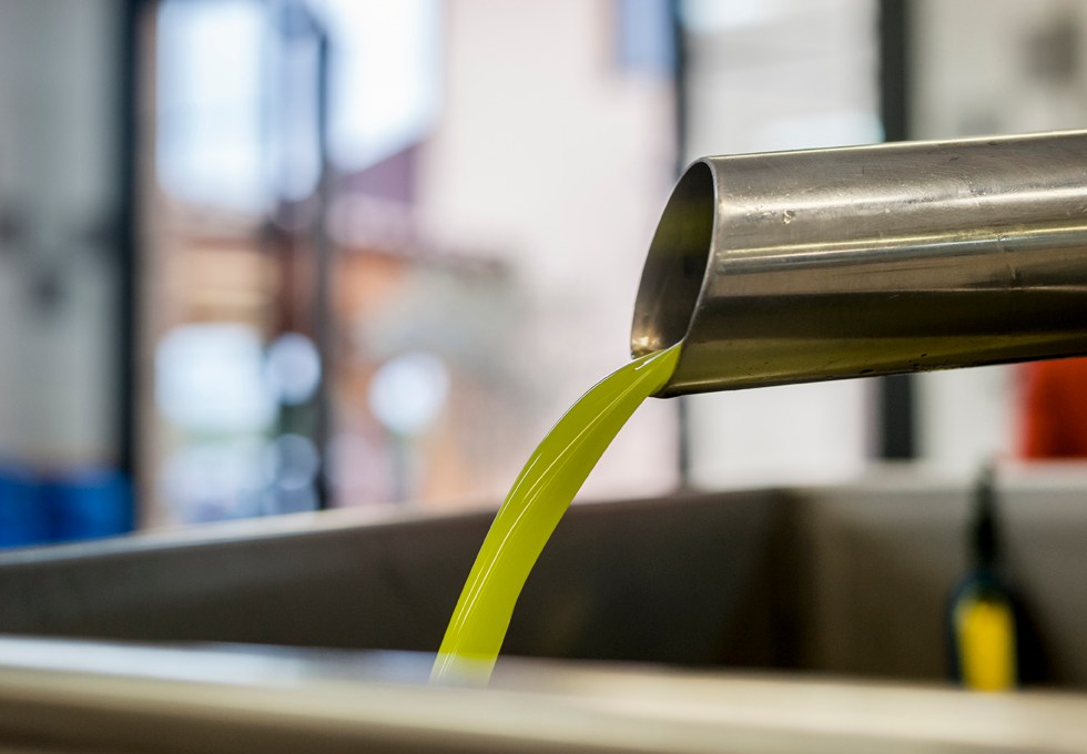 Come assaggiare L'olio D'oliva